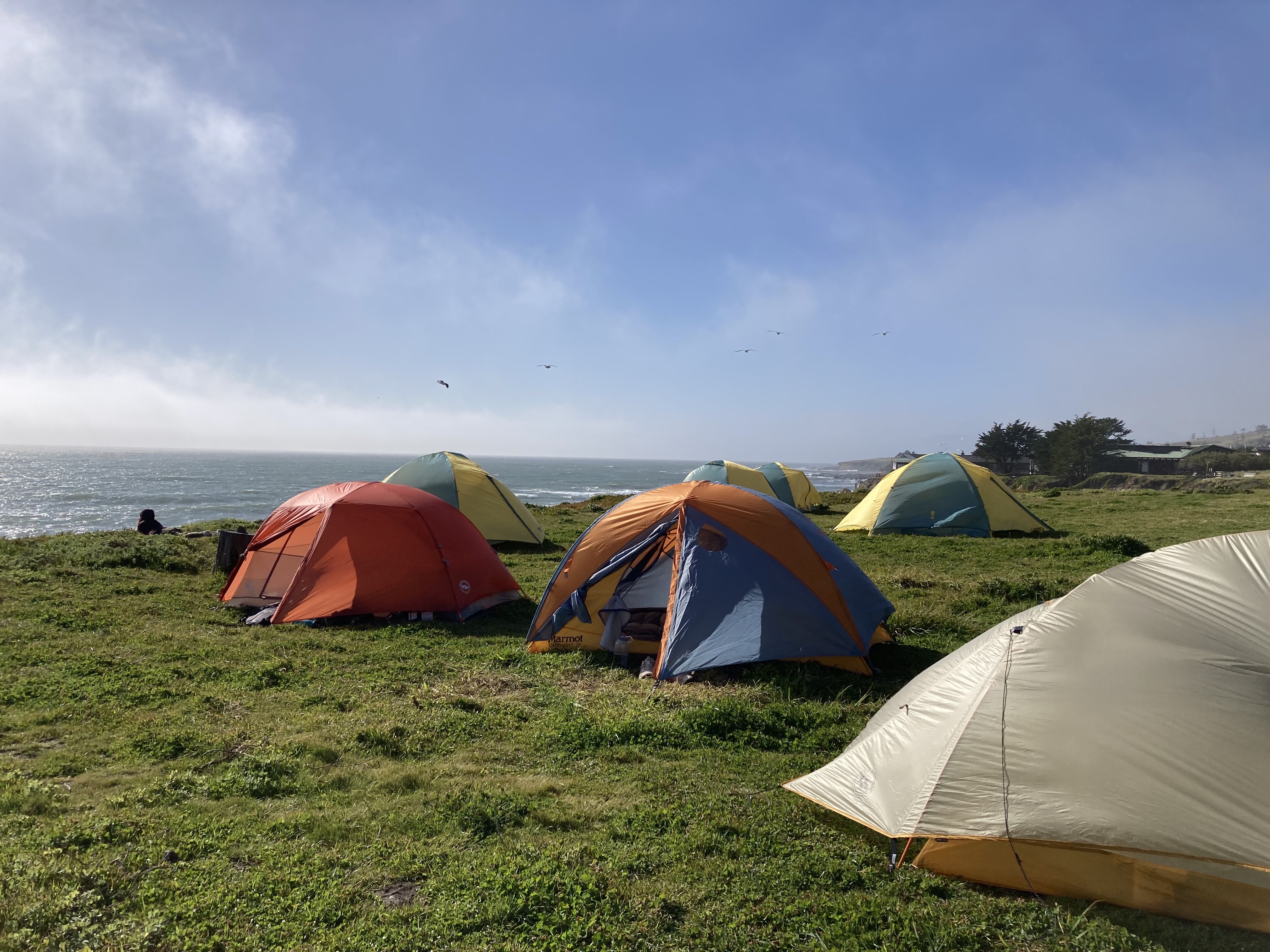 Tents overlooking the ocean at the Kenneth R. Norris Rancho Marino UC Reserve in Cambria, CA.
