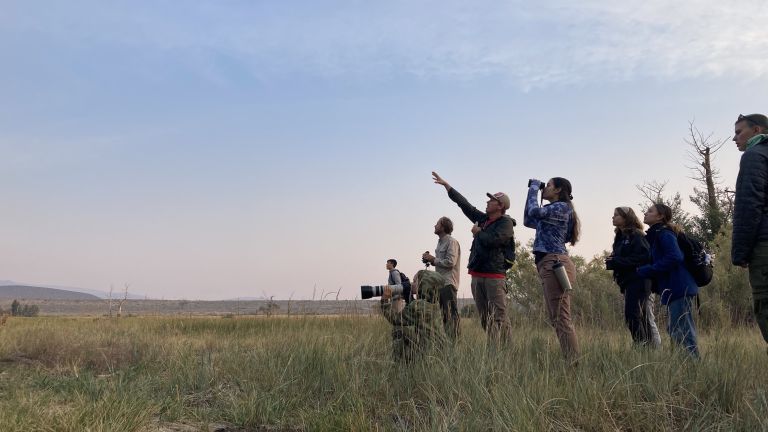FUERTE Fellows birding at Mono Lake.