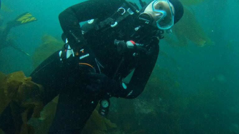 Kat Brydson on a research dive with the SBC LTER.