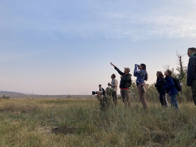 FUERTE Fellows birding at Mono Lake.