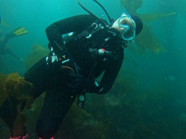Kat Brydson on a research dive with the SBC LTER.